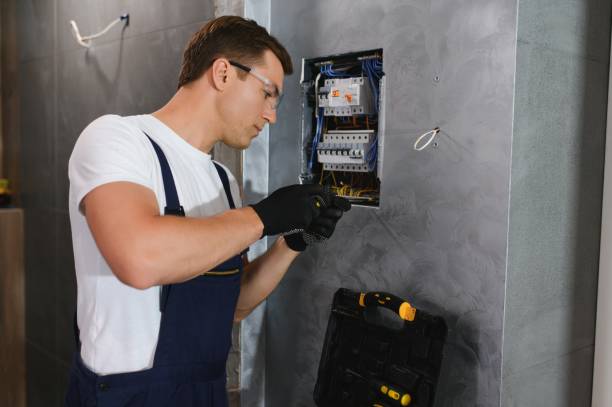 Best Electric Panel Repair  in Lathrop, MO